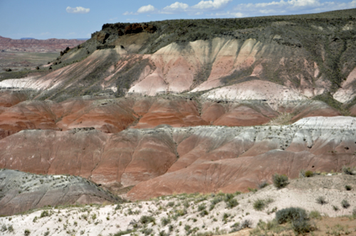 The Petrified Desert as seen from Whipple Point